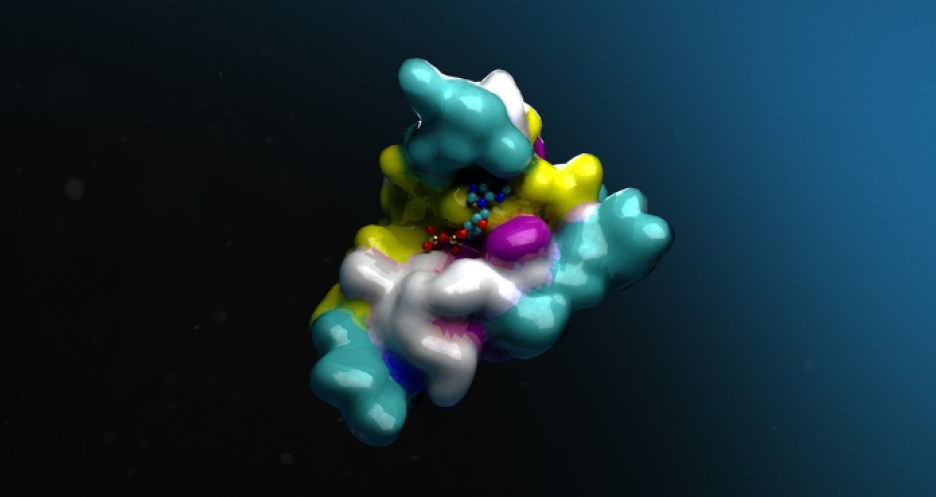 The BioNeMo cloud service helps to accelerate drug discovery and protein engineering.