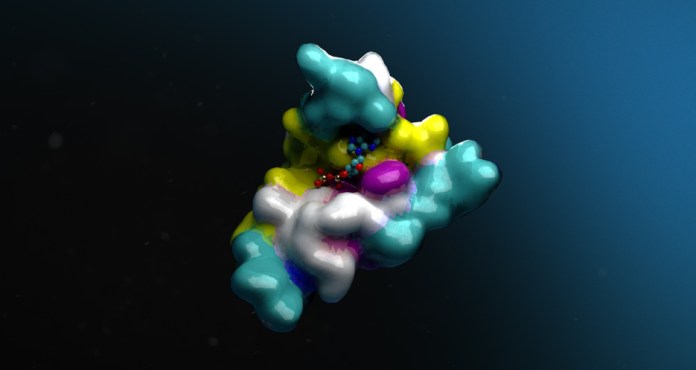 The BioNeMo cloud service helps to accelerate drug discovery and protein engineering The BioNeMo cloud service helps to accelerate drug discovery and protein engineering.