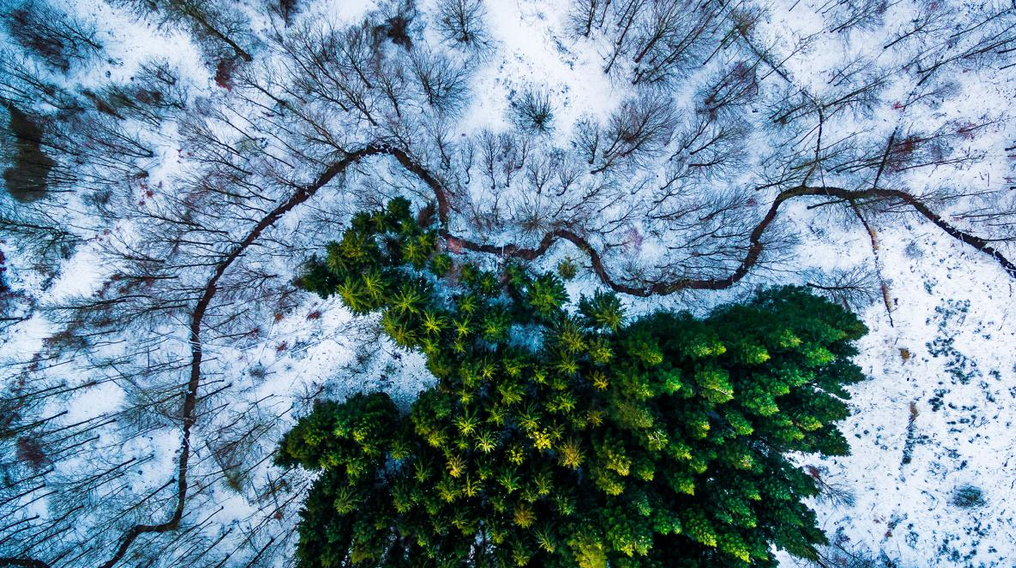 Dronestragram_Nature_First_place_winner