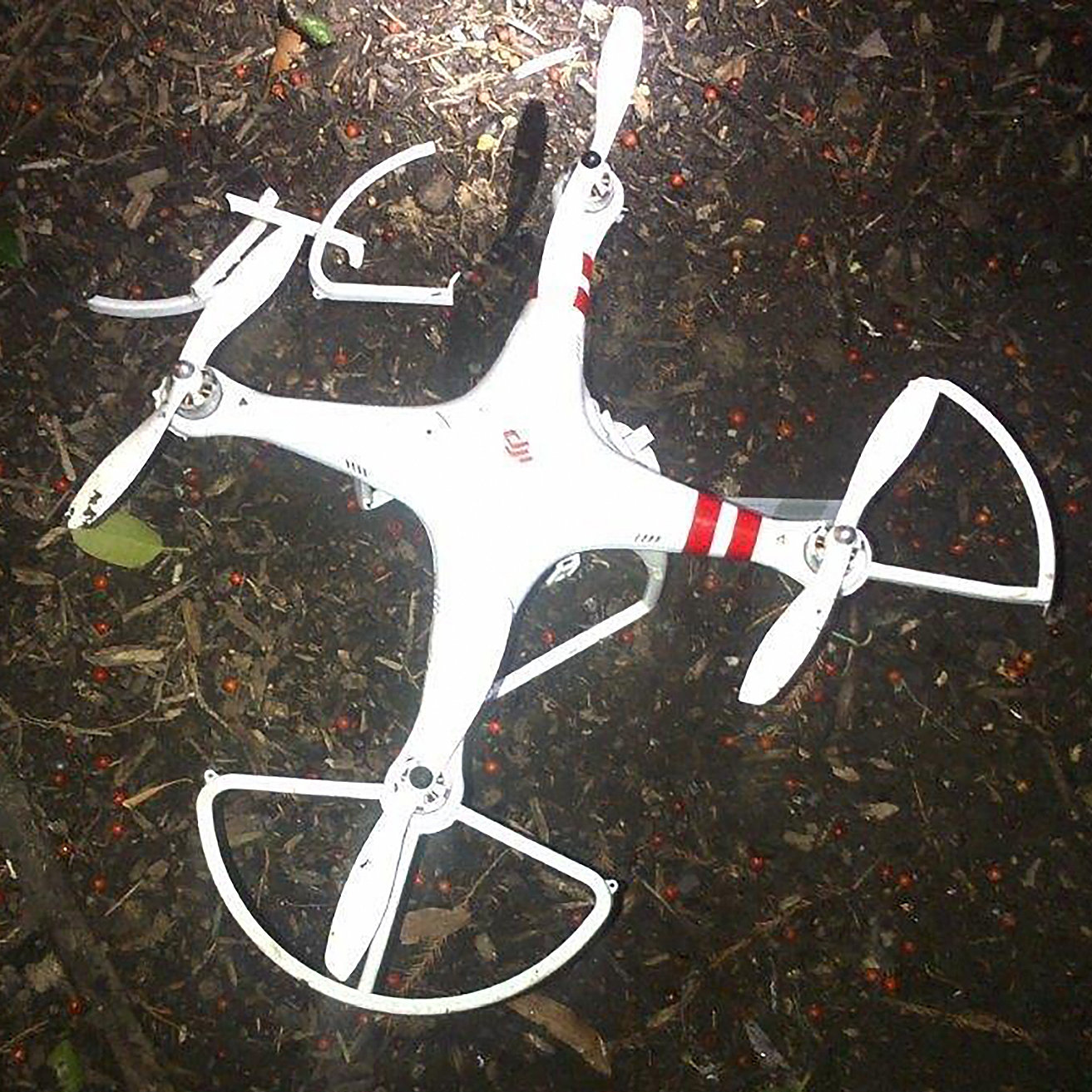 Crashed White House drone