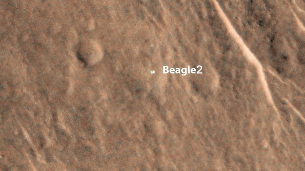 Beagle-2 01