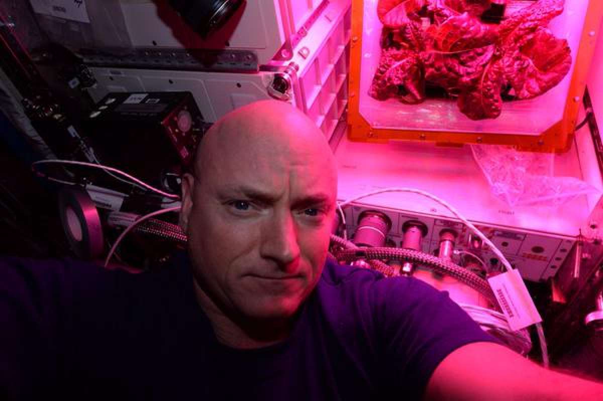 Scott_Kelly_ISS_Lettuce_Selfie