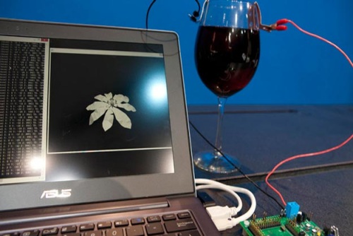 Processor powered by wine