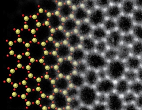 Atom structure of glass