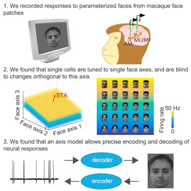 Caltech_Brain_Research