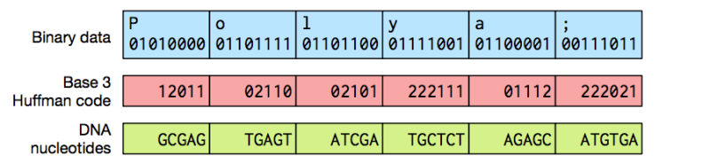 DNA_Data_Storage_2