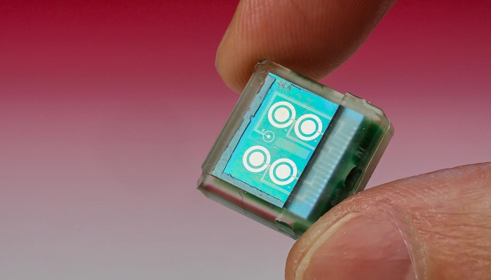 In vivo biosensor chip