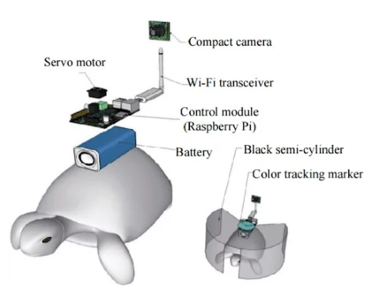 Researchers control movement with human brain