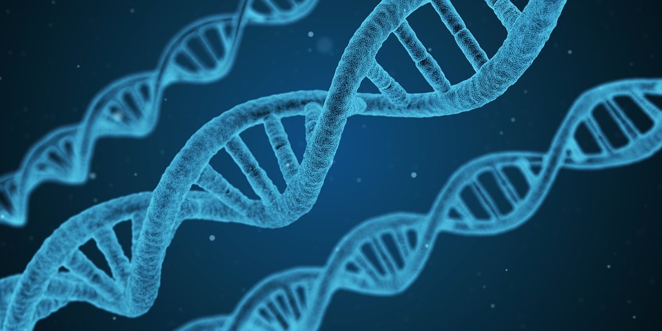 Stock_DNA_2