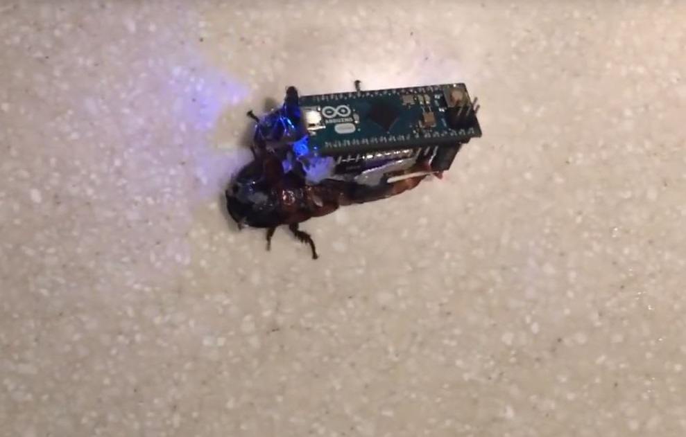 Arduino_Roach_1