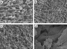 collagen scaffolds