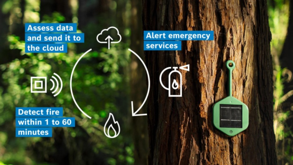 The Dryad AIoT fire-detection system, using Bosch Sensortec's BME688 gas sensors, sends the sensor data to the cloud, where it is analyzed and monitored, and alerts are sent to emergency services. 