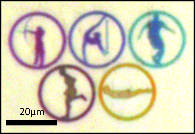 Structural color using nanoscale slits