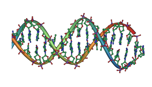 dna