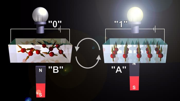 Japanese_Magnetic_Switch