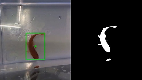 How the Studio Diip fish tank works