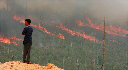 Wildfires in Indonesia have significantly raised the air pollutant levels in the area