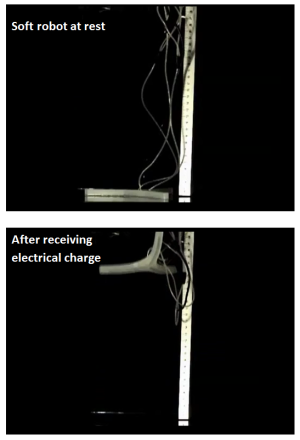 DARPA soft robot jumping demoonstration