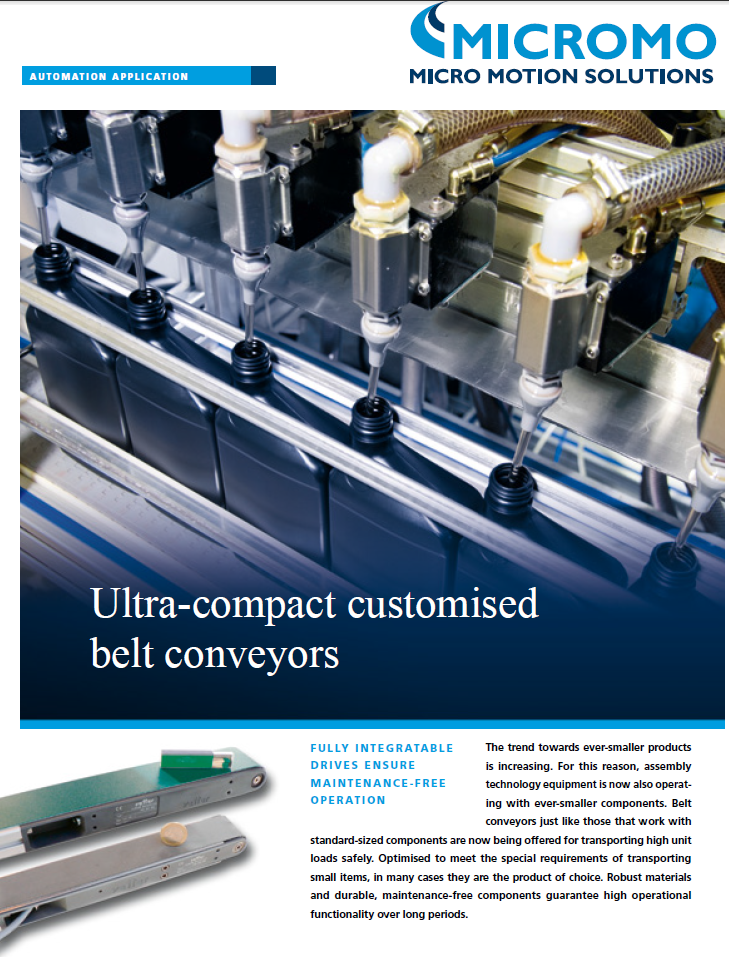 Micromo Belt Conveyor