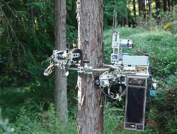 Pruning Robot