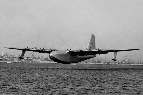 sprucegoose