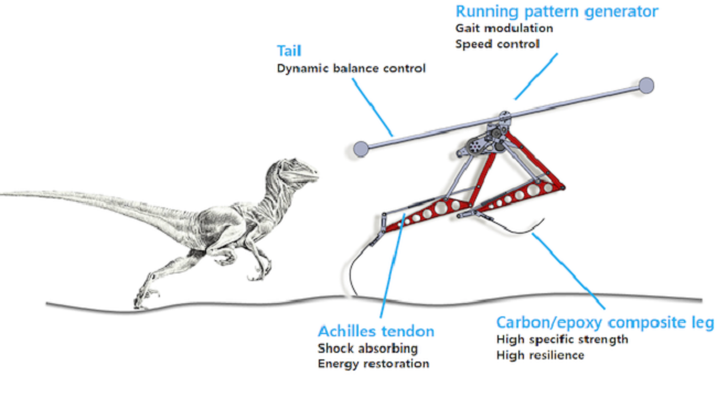 Velociraptor Robot 2