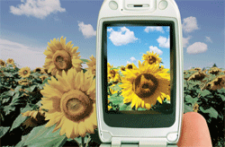 Display considerations for a handheld multimedia device