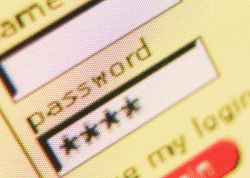 Startling numbers show password theft on the rise