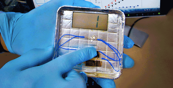 Virus cells used to produce electricity