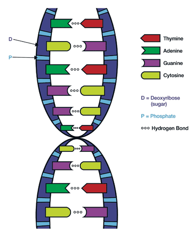 Breaking paradigms in biochemical sensing