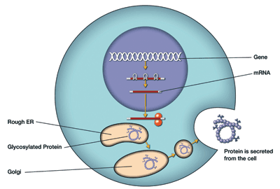 Breaking paradigms in biochemical sensing