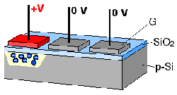 Fundamentals of image sensors and processors