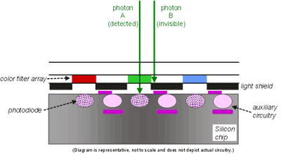 Fundamentals of image sensors and processors