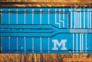 Lab-on-chip tests DNA