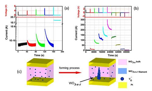 On-Demand Synaptic Electronics: Circuits that learn and forget