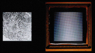 CMOS sensor array directly registers fingerprints for personal-ID apps