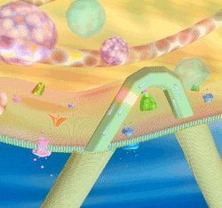 A (small) breakthrough in intracellular measurement