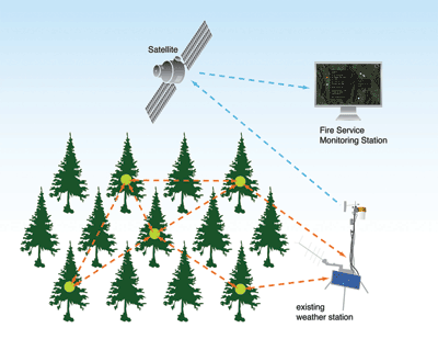 Sensor system powered by trees