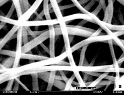 Longest nanowires ever may lead to better fuel cells