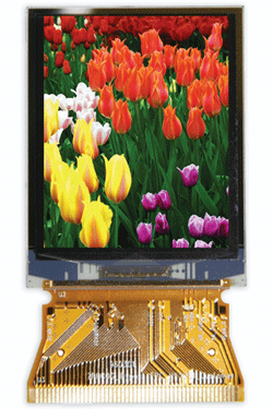 2-in. AMOLED display rolls off factory lines