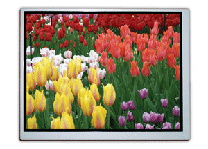 Rugged 5.7-in. LCD delivers 262k colors