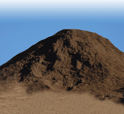 Environmental success stories come in many flavors