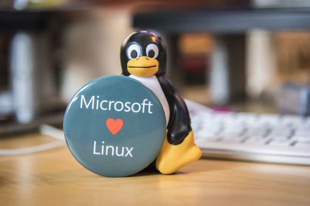 Microsoft and Linux