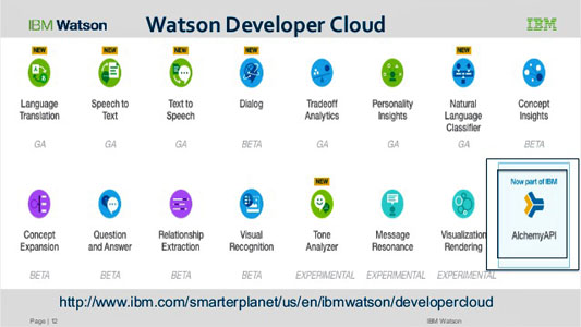 Watson Developer Cloud