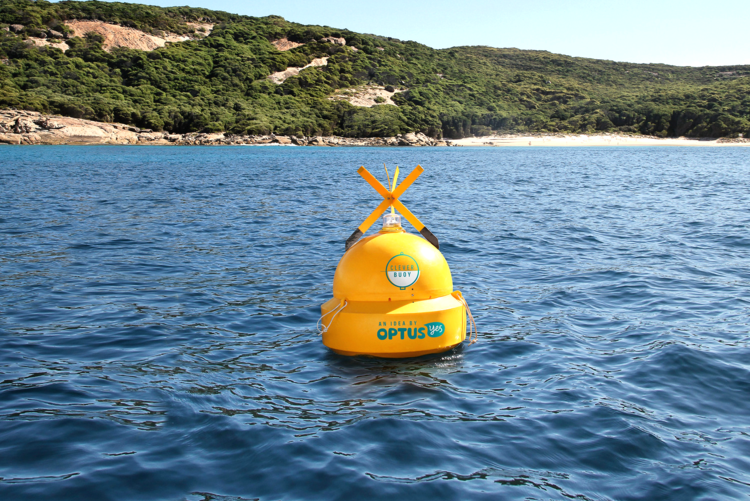 Shark Detecting Buoy