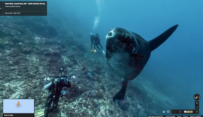 Sunfish_Google_Steet_View