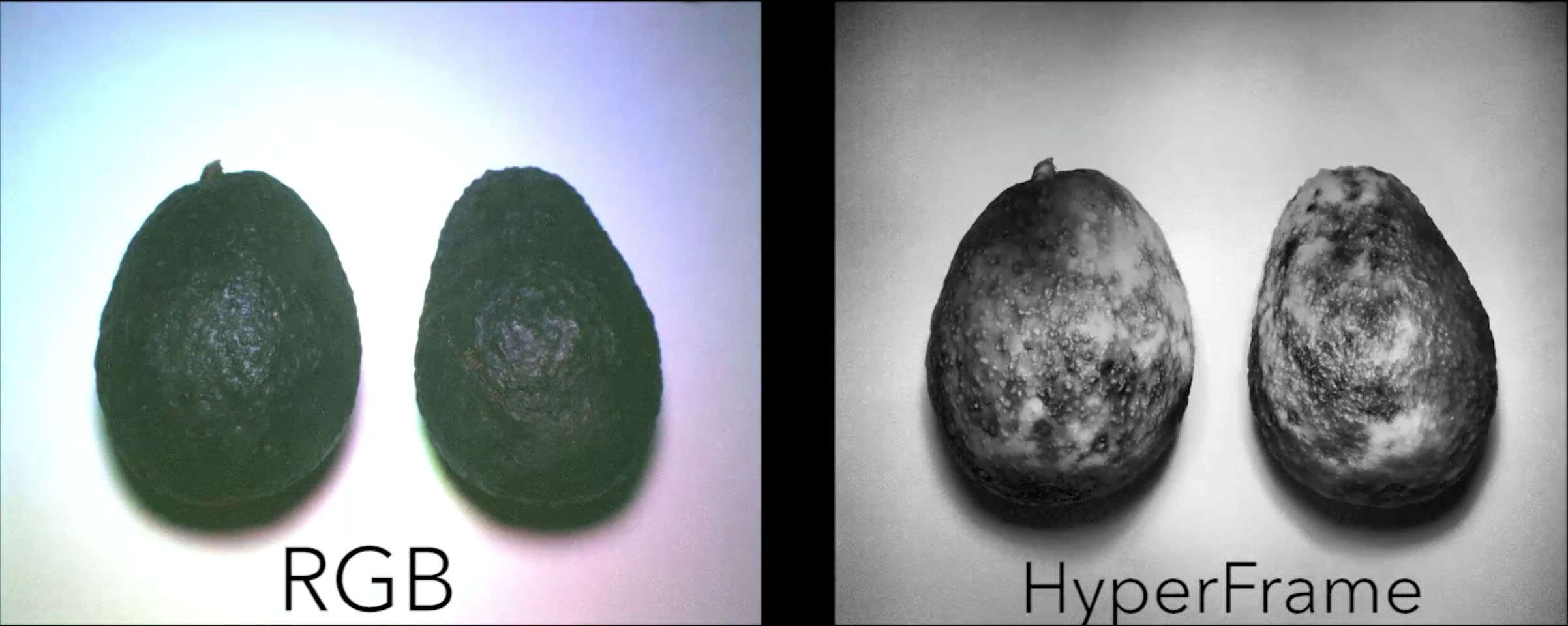 HyperFrames_Fruit