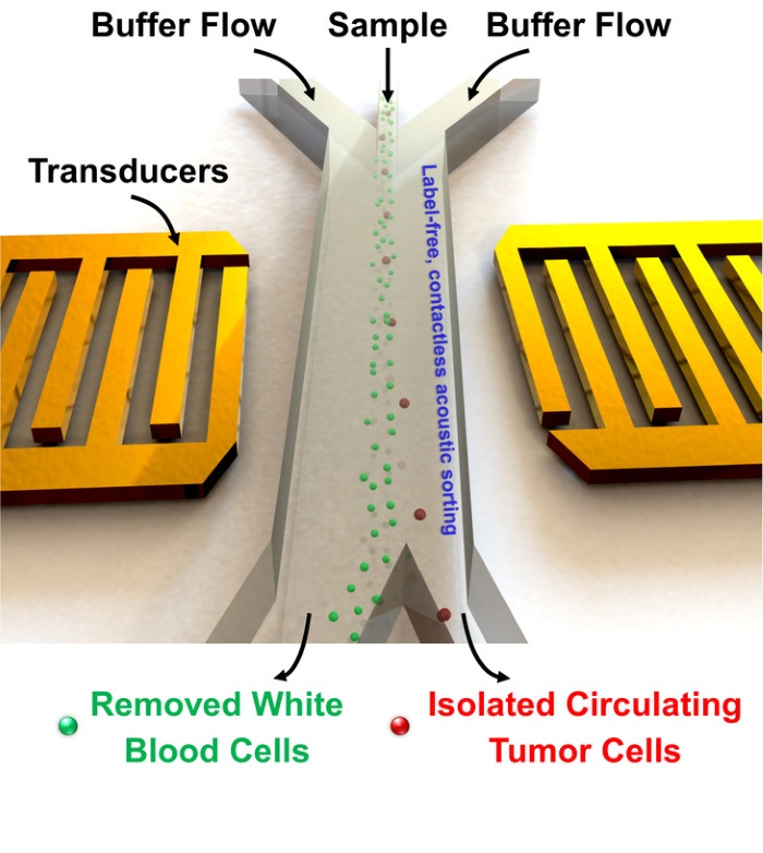 Acoustic tweezers