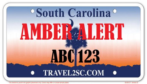 Digital License plates 02