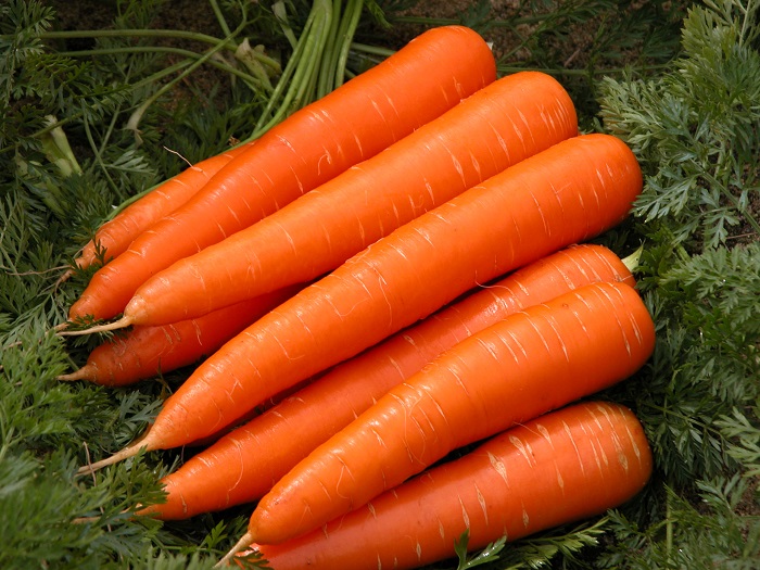 Carrots